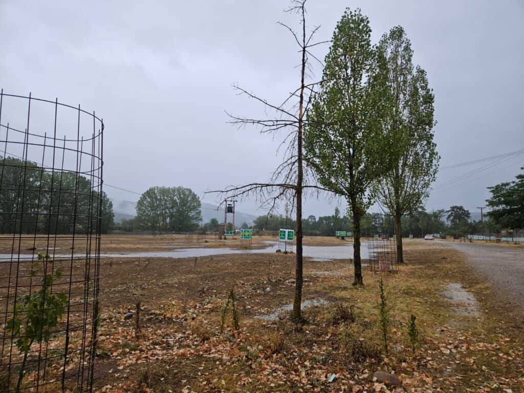 Paraje de El Regajo este sábado 2 de septiembre de 2023 en Vinuesa. FOTO: Ayto. de Vinuesa