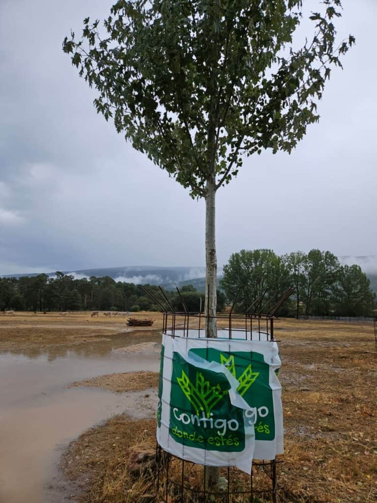 Paraje de El Regajo este sábado 2 de septiembre de 2023 en Vinuesa. FOTO: Ayto. de Vinuesa